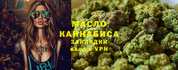 mix Инта