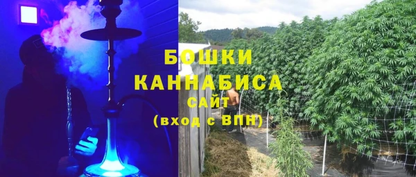 метадон Каменка