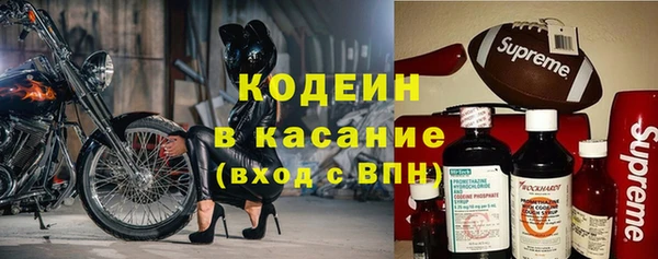 крисы Киренск