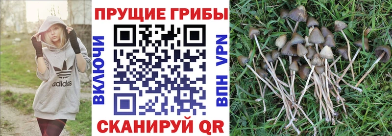 Псилоцибиновые грибы мухоморы Старый Крым